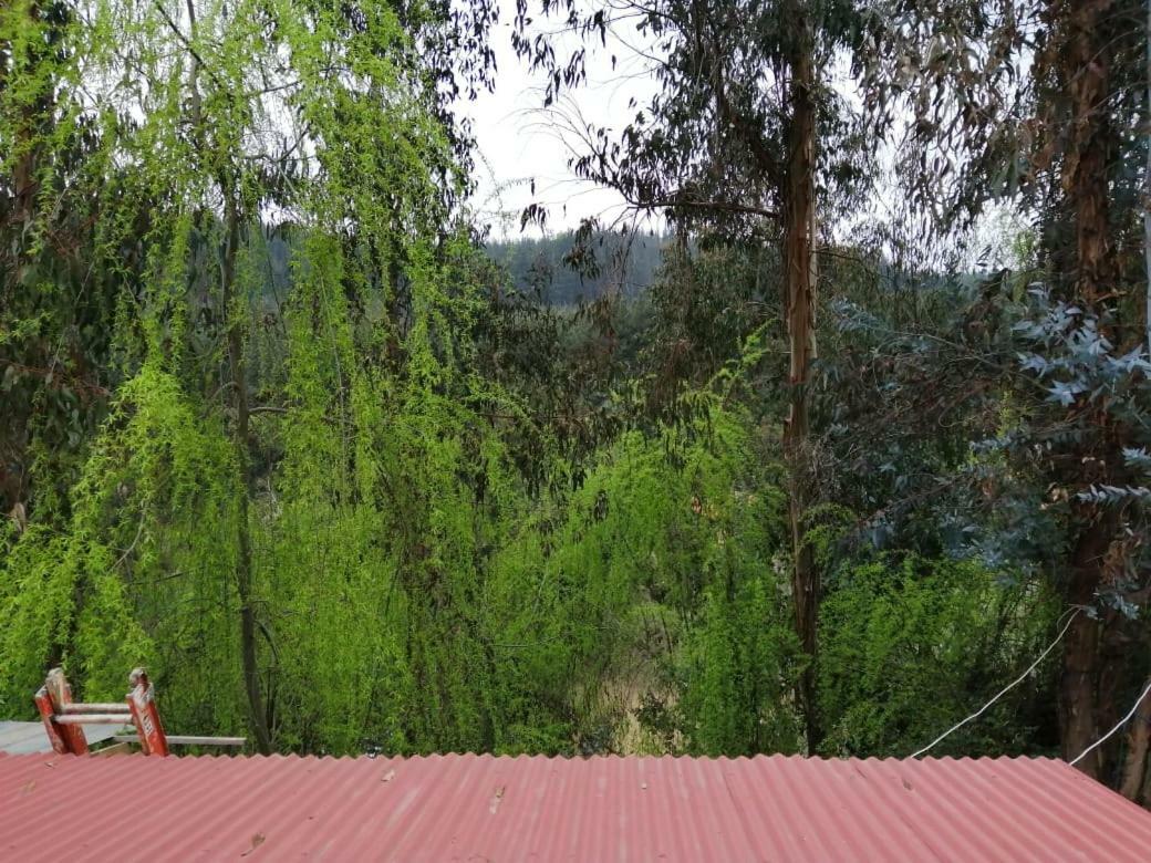 El Fogon De Rio Claro Hotell Exteriör bild