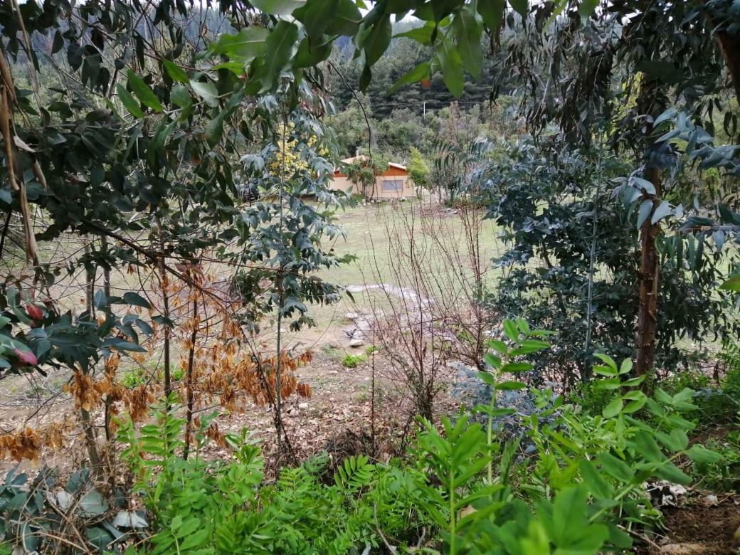 El Fogon De Rio Claro Hotell Exteriör bild